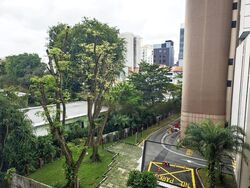 The Boutiq (D9), Apartment #466858621